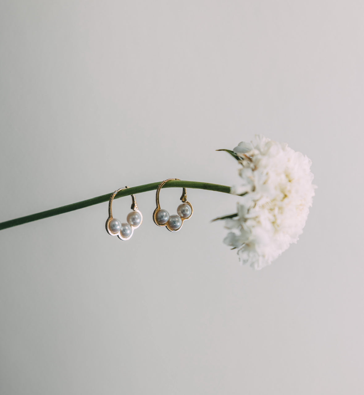 Les Boucles d'oreilles